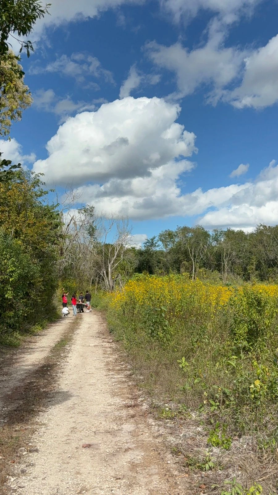 Retiro de reconexión