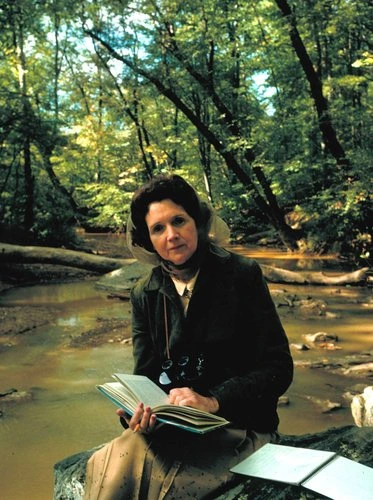 Rachel Carson - Conciencia ecológica y sentido de asombro